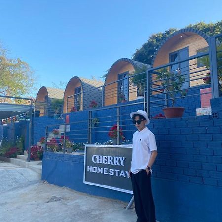 Cherry Homestay Bungalow 头顿 外观 照片