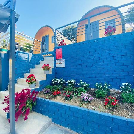 Cherry Homestay Bungalow 头顿 外观 照片