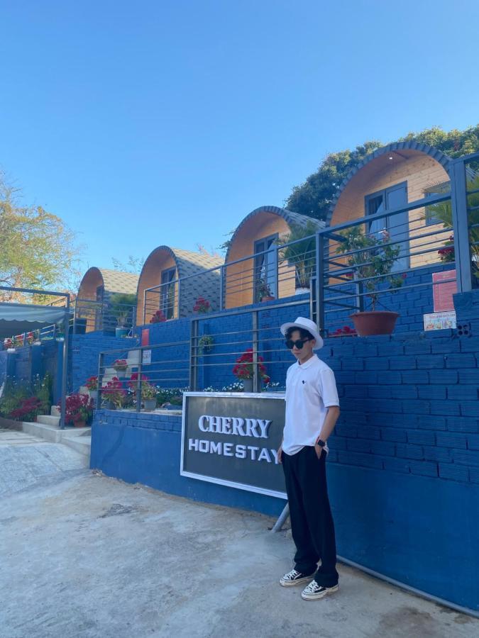 Cherry Homestay Bungalow 头顿 外观 照片