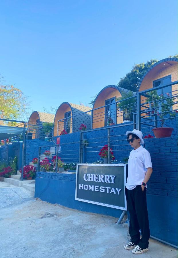 Cherry Homestay Bungalow 头顿 外观 照片